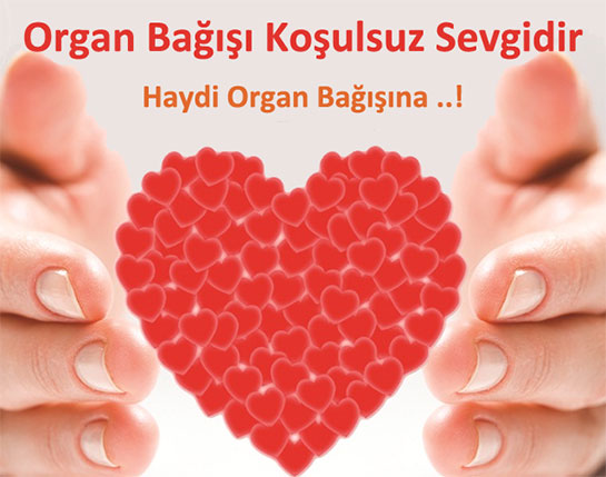 Doku ve Organ Ba